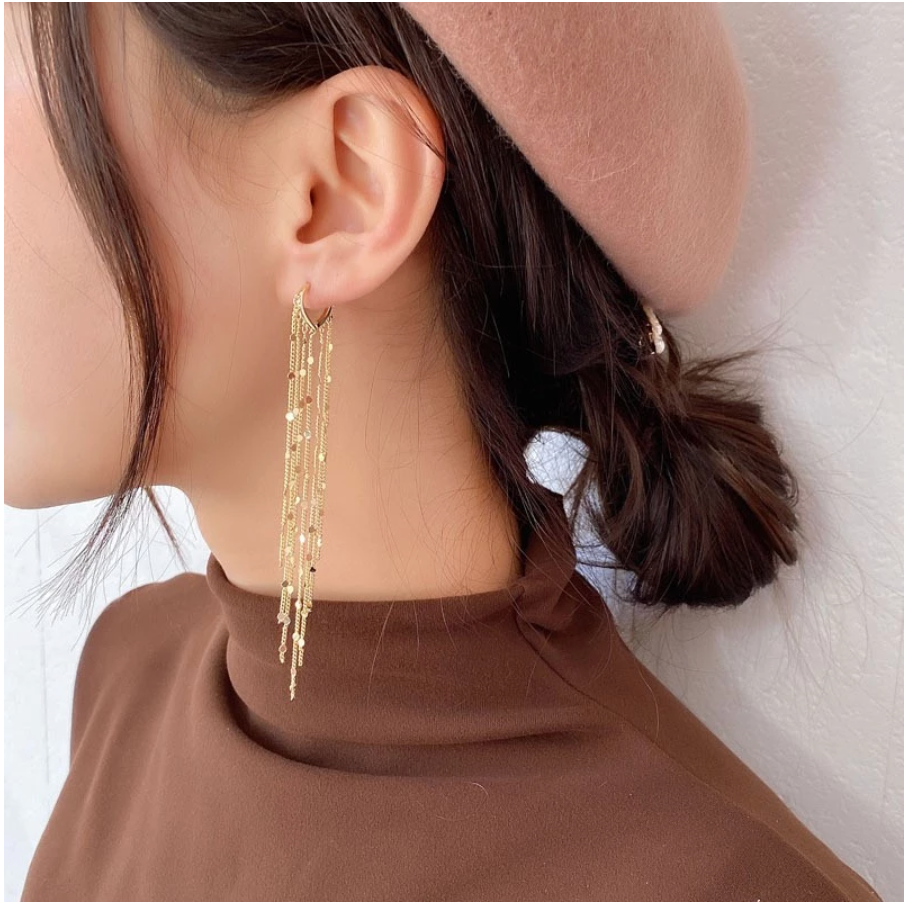 New Tassel drop earrings