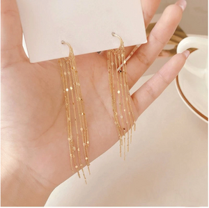 Tassel drop earrings